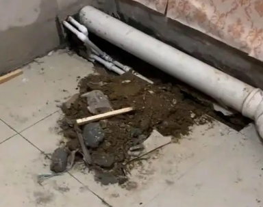 莱城卫生间漏水检测哪家好