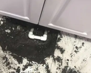 莱城查漏水哪家好