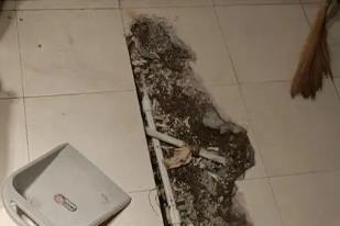莱城卫生间漏水检测电话